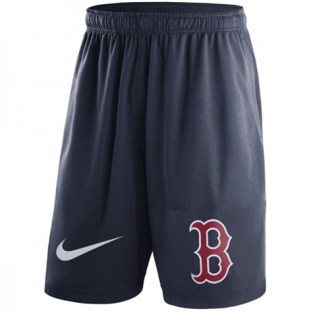 Men's Boston Red Sox Navy Dry Fly Shorts