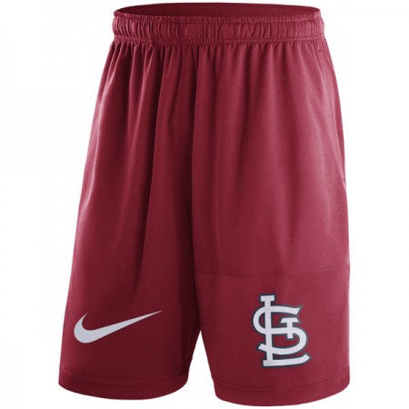 Men's St. Louis Cardinals Red Dry Fly Shorts