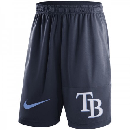Men's Tampa Bay Rays Navy Dry Fly Shorts