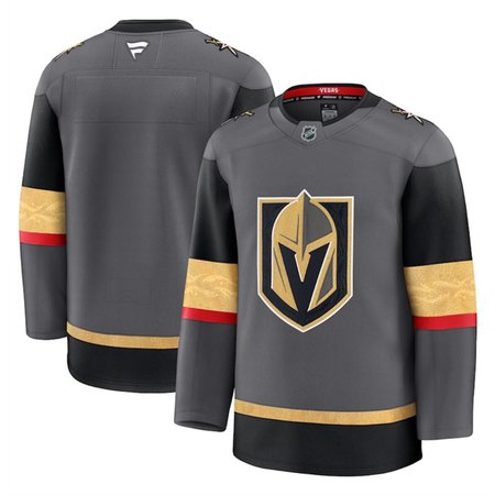 Men's Vegas Golden Knights Blank Grey 2024-25 Alternate Stitched Hockey Jersey