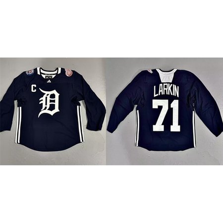 Men's Detroit Red Wings Custom Tigers Crossover Black Stitched Jersey