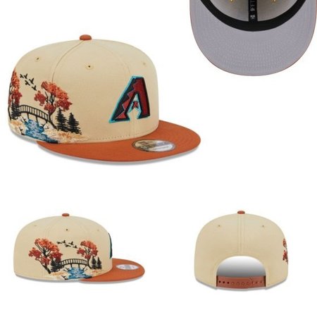 Arizona Diamondbacks Snapback Hat