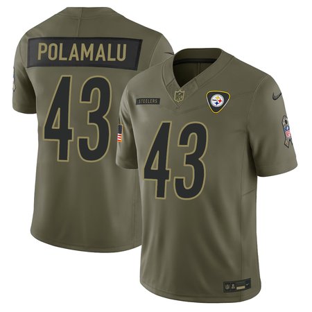 Youth's Pittsburgh Steelers #43 Troy Polamalu Nike Olive 2025 Salute to Service Retired Limited Jersey
