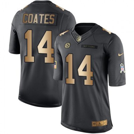 Steelers #14 Sammie Coates Black Men's Stitched NFL Limited Gold Salute To Service Jersey