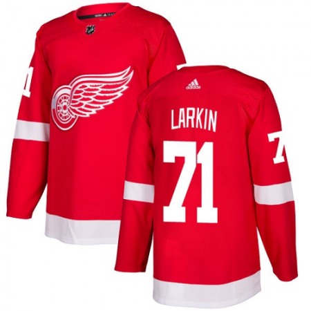 Men's Detroit Red Wings #71 Dylan Larkin Red Stitched NHL Jersey