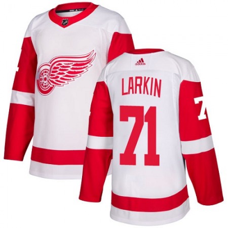 Men's Detroit Red Wings #71 Dylan Larkin White Stitched NHL Jersey
