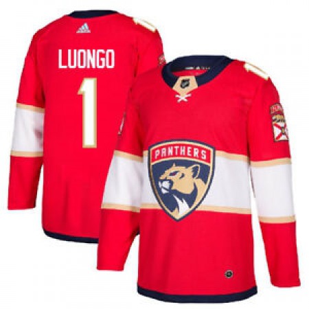Men's Florida Panthers #1 Roberto Luongo Red Stitched NHL Jersey